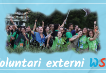 Voluntari externi WSU